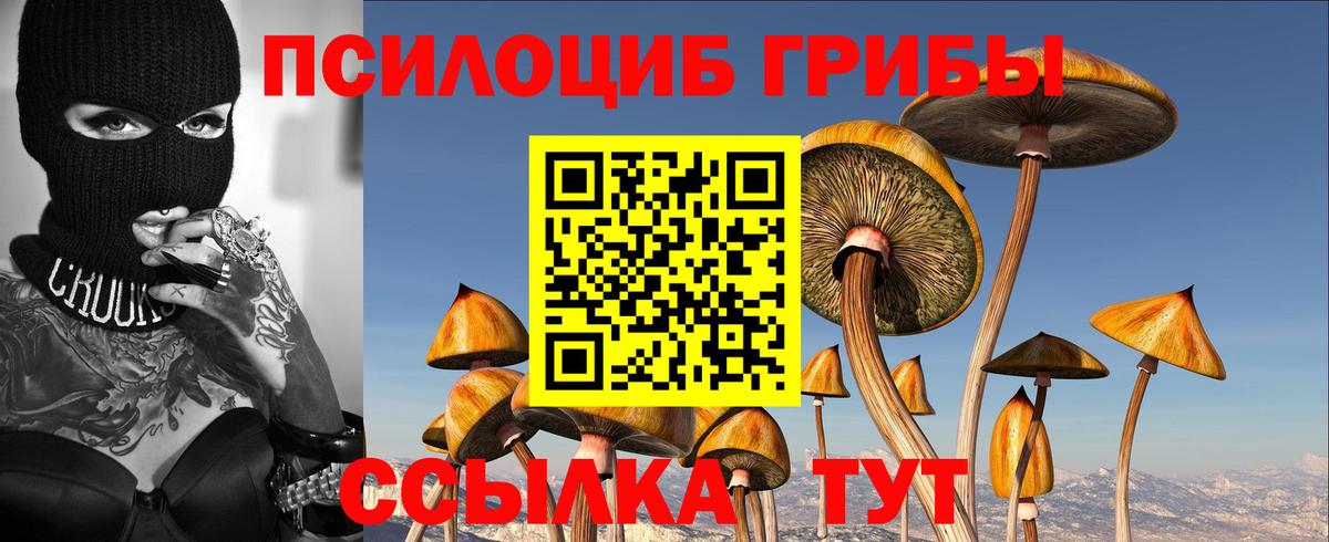 Галлюциногенные грибы мухоморы  Галлюциногенные грибы Psilocybe  Вход с VPN  Карталы 
